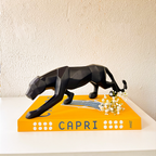 Caixa Livro Capri