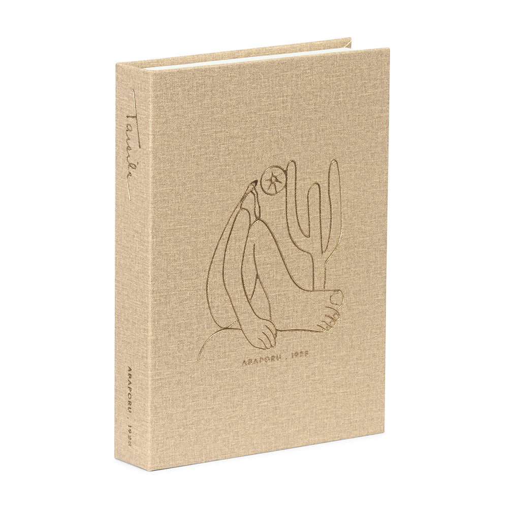 Livro Caixa Abaporu P