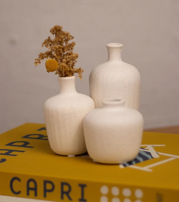 Vasos de Decoração