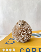 Escultura Ouriço Fofo